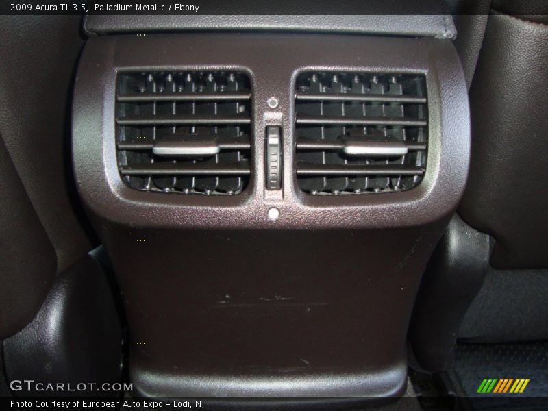 Palladium Metallic / Ebony 2009 Acura TL 3.5