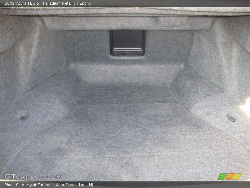 Palladium Metallic / Ebony 2009 Acura TL 3.5