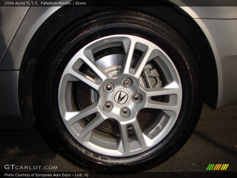 Palladium Metallic / Ebony 2009 Acura TL 3.5