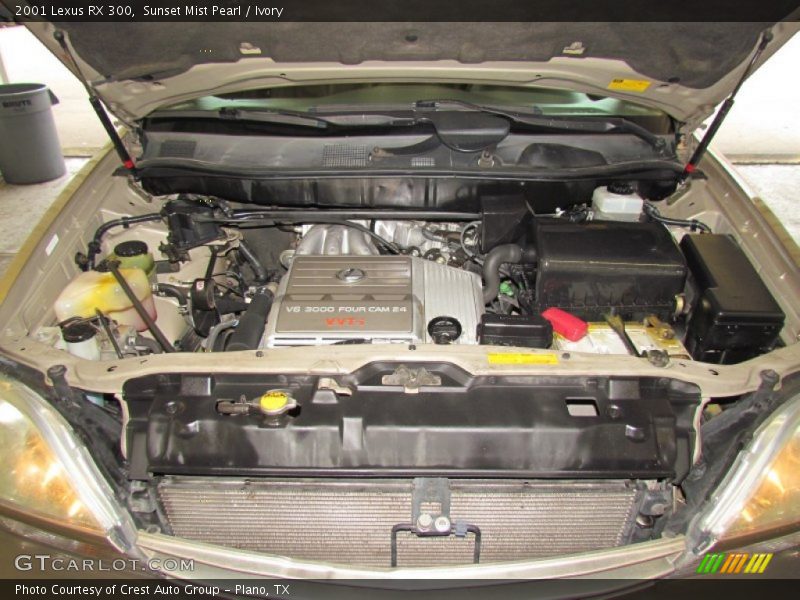 Sunset Mist Pearl / Ivory 2001 Lexus RX 300