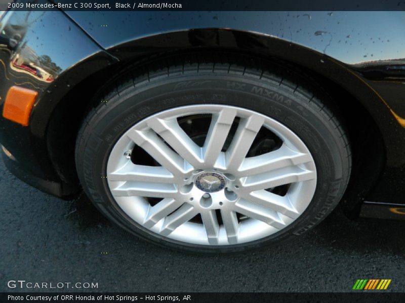 Black / Almond/Mocha 2009 Mercedes-Benz C 300 Sport