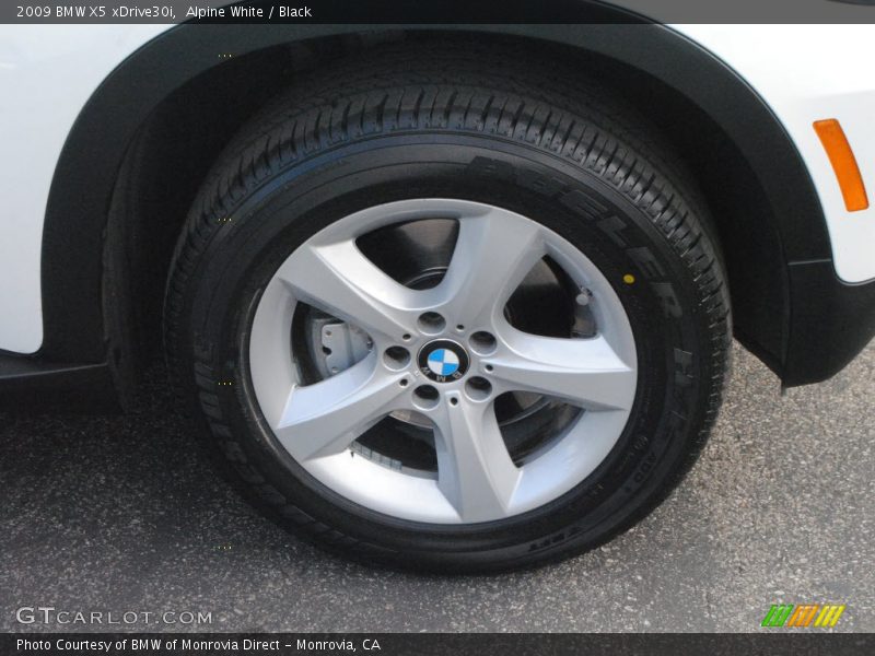 Alpine White / Black 2009 BMW X5 xDrive30i