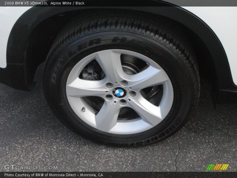 Alpine White / Black 2009 BMW X5 xDrive30i