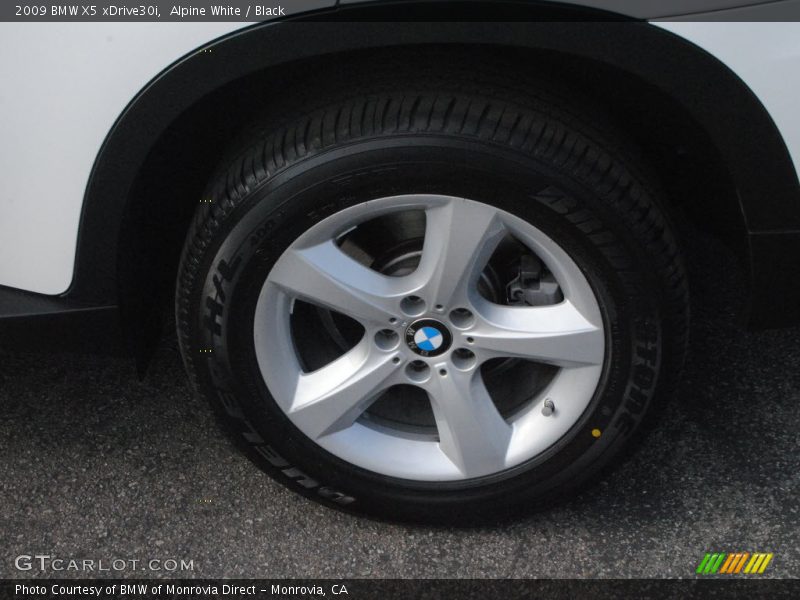 Alpine White / Black 2009 BMW X5 xDrive30i