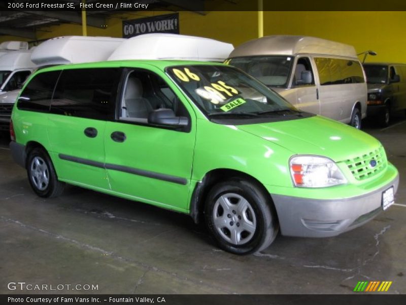 Fleet Green / Flint Grey 2006 Ford Freestar SE