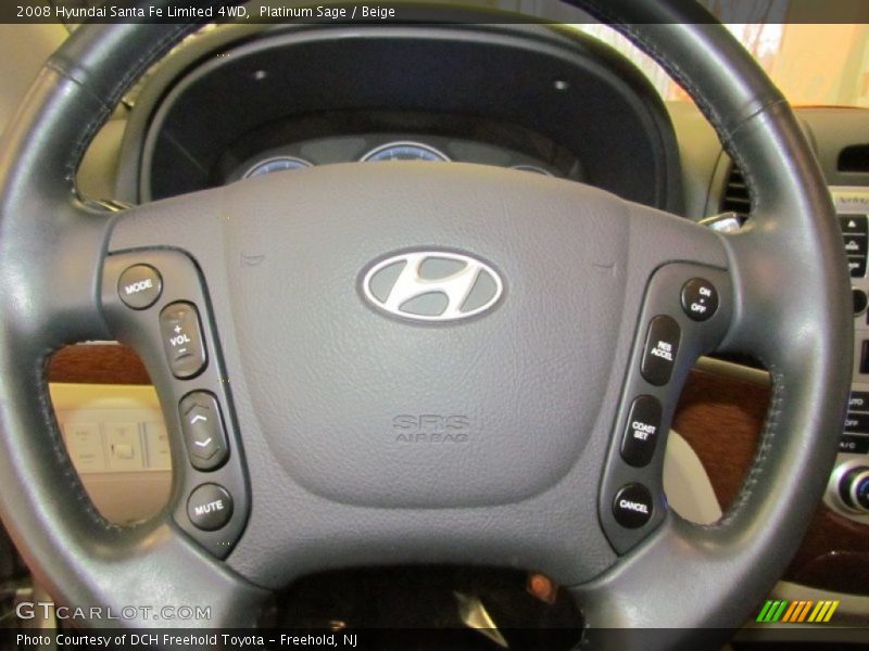Platinum Sage / Beige 2008 Hyundai Santa Fe Limited 4WD