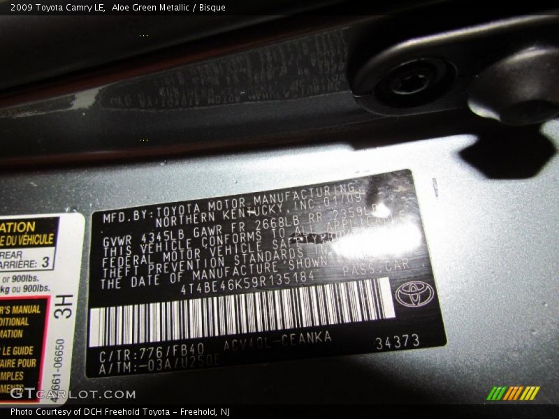 Aloe Green Metallic / Bisque 2009 Toyota Camry LE