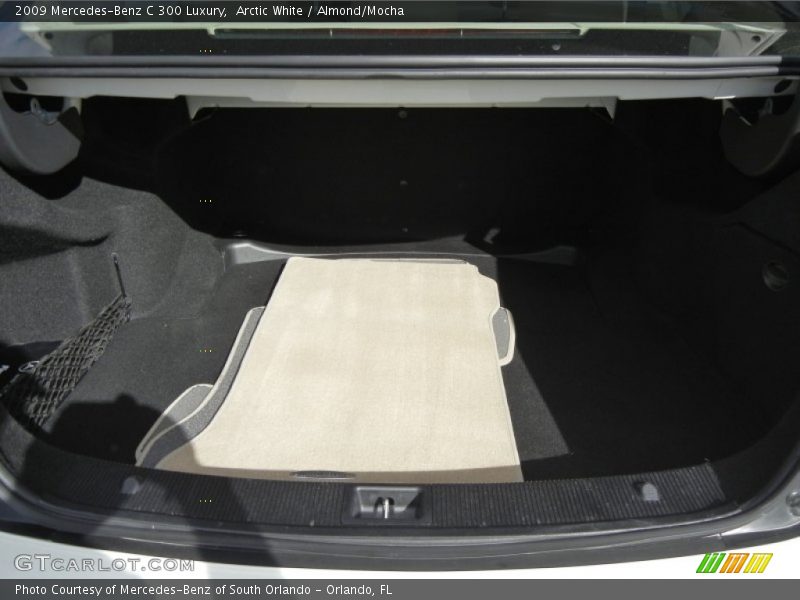 Arctic White / Almond/Mocha 2009 Mercedes-Benz C 300 Luxury