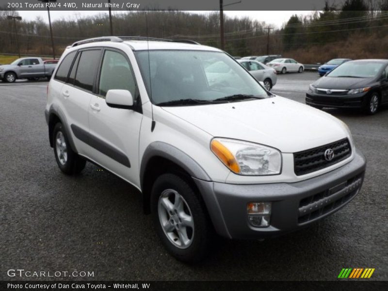 Natural White / Gray 2001 Toyota RAV4 4WD