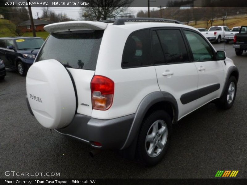 Natural White / Gray 2001 Toyota RAV4 4WD