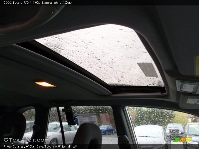 Natural White / Gray 2001 Toyota RAV4 4WD