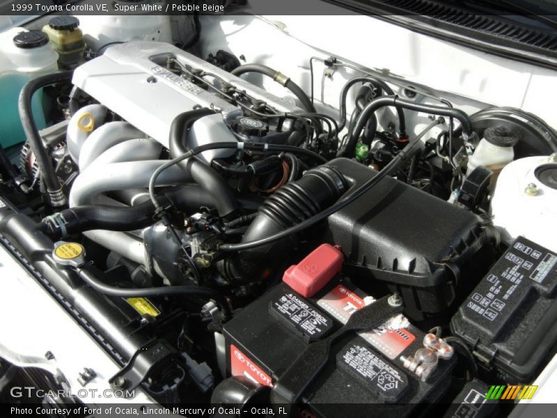 Super White / Pebble Beige 1999 Toyota Corolla VE