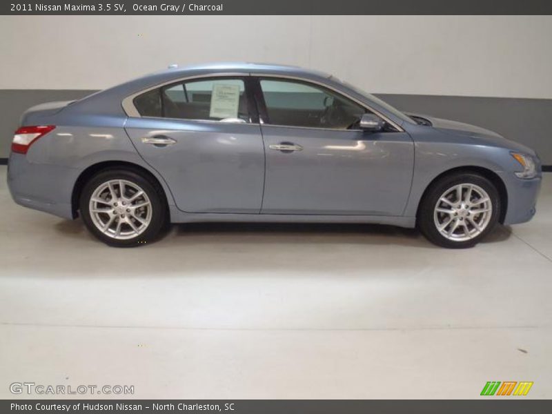 Ocean Gray / Charcoal 2011 Nissan Maxima 3.5 SV