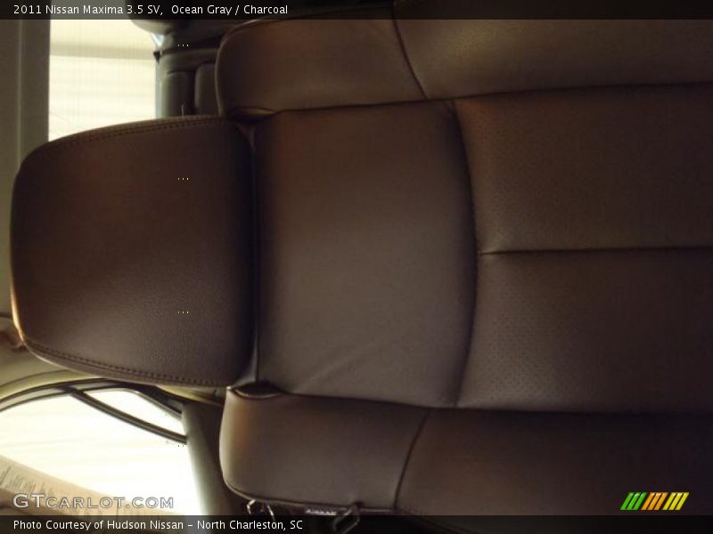 Ocean Gray / Charcoal 2011 Nissan Maxima 3.5 SV