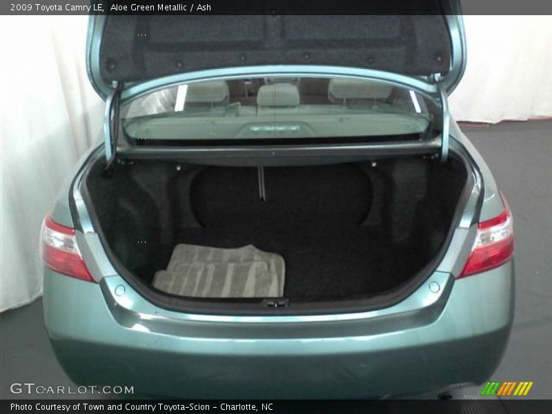 Aloe Green Metallic / Ash 2009 Toyota Camry LE