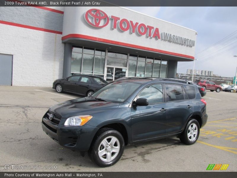 Black Forest Pearl / Ash Gray 2009 Toyota RAV4 4WD
