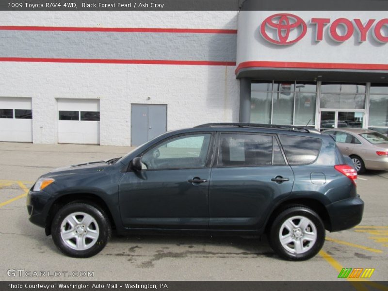 Black Forest Pearl / Ash Gray 2009 Toyota RAV4 4WD