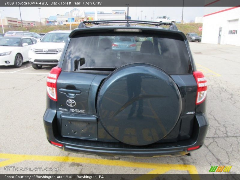 Black Forest Pearl / Ash Gray 2009 Toyota RAV4 4WD