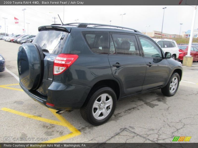 Black Forest Pearl / Ash Gray 2009 Toyota RAV4 4WD