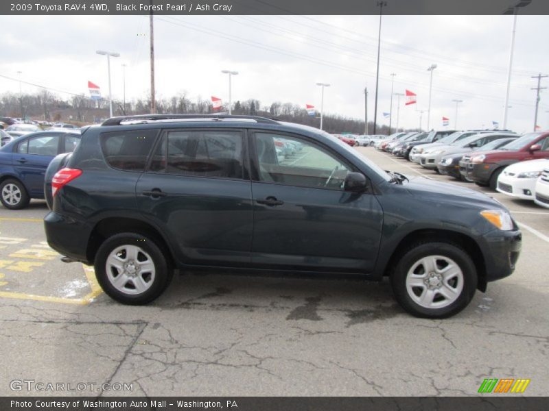 Black Forest Pearl / Ash Gray 2009 Toyota RAV4 4WD