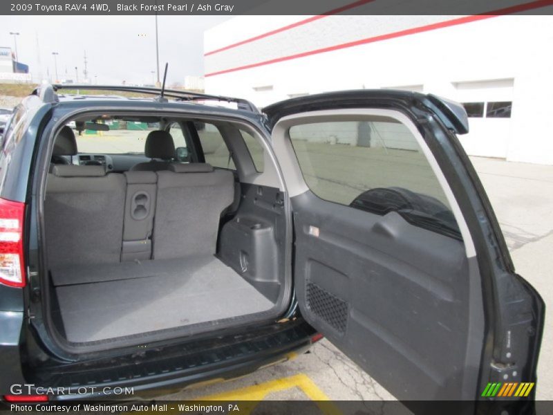 Black Forest Pearl / Ash Gray 2009 Toyota RAV4 4WD