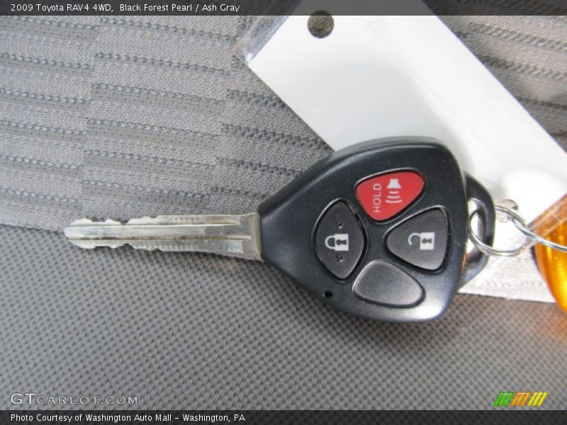 Black Forest Pearl / Ash Gray 2009 Toyota RAV4 4WD