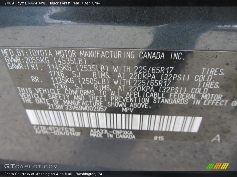 Black Forest Pearl / Ash Gray 2009 Toyota RAV4 4WD