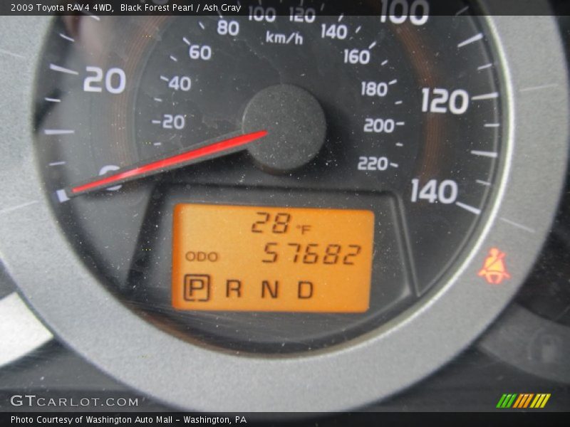 Black Forest Pearl / Ash Gray 2009 Toyota RAV4 4WD