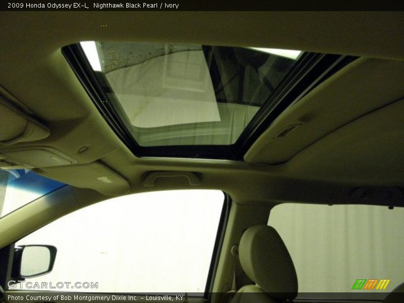 Nighthawk Black Pearl / Ivory 2009 Honda Odyssey EX-L