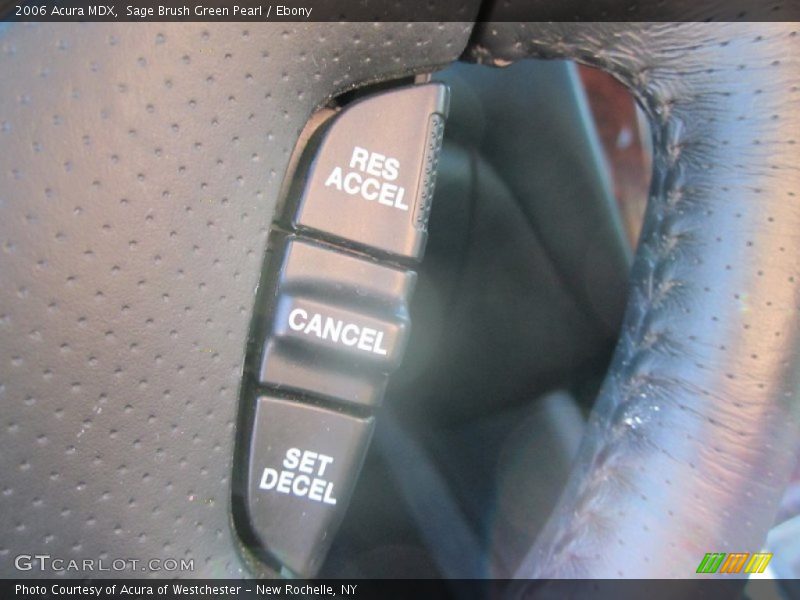 Sage Brush Green Pearl / Ebony 2006 Acura MDX
