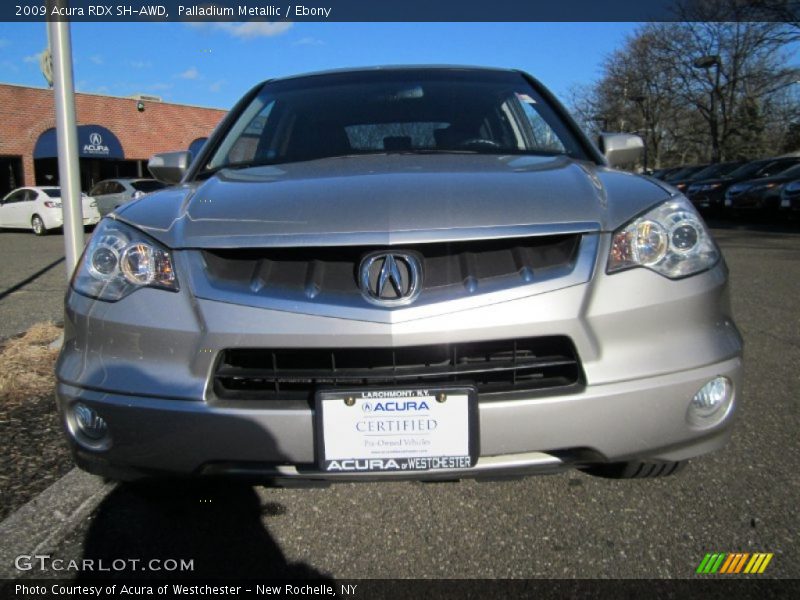 Palladium Metallic / Ebony 2009 Acura RDX SH-AWD