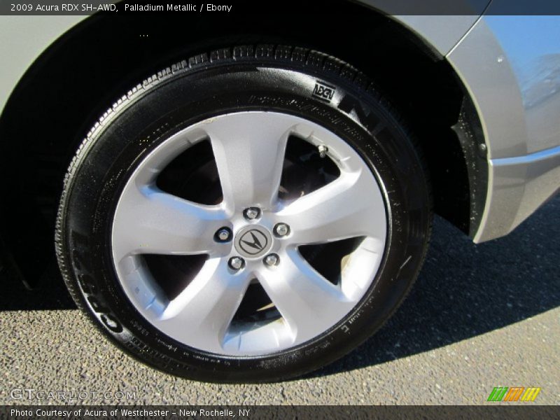 Palladium Metallic / Ebony 2009 Acura RDX SH-AWD