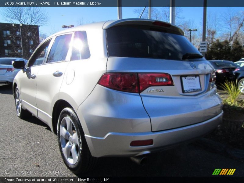 Palladium Metallic / Ebony 2009 Acura RDX SH-AWD