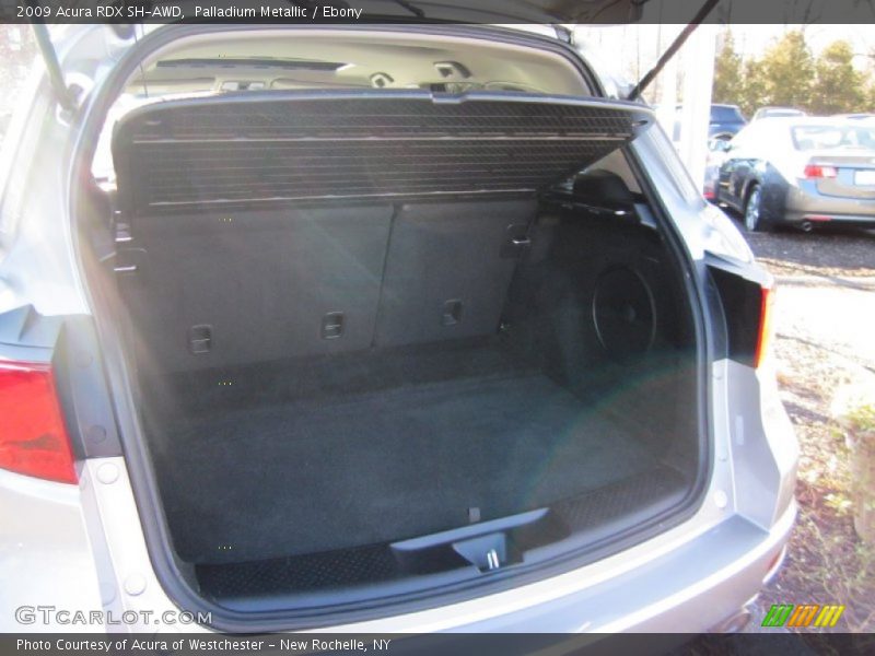 Palladium Metallic / Ebony 2009 Acura RDX SH-AWD