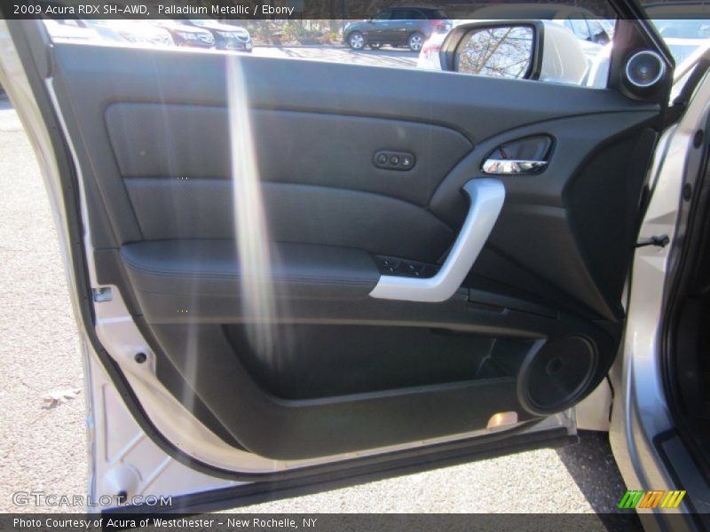 Palladium Metallic / Ebony 2009 Acura RDX SH-AWD