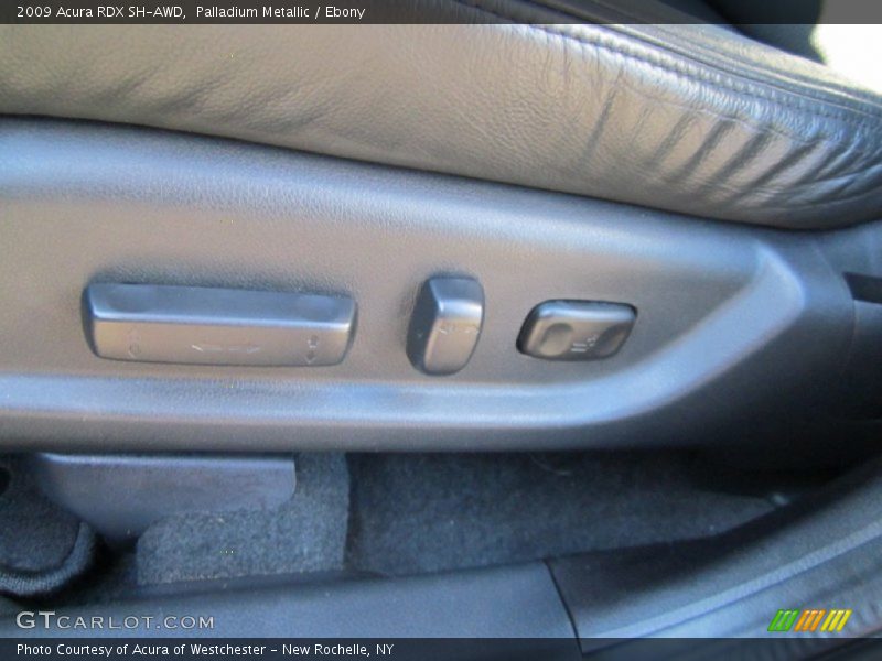 Palladium Metallic / Ebony 2009 Acura RDX SH-AWD