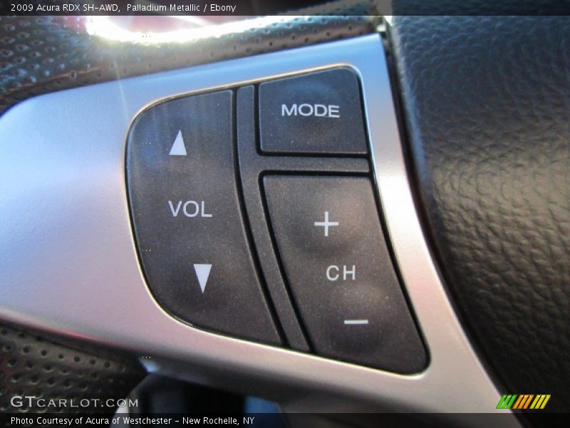Palladium Metallic / Ebony 2009 Acura RDX SH-AWD
