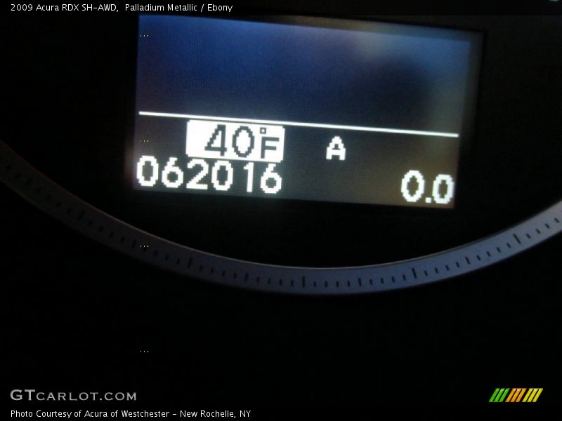 Palladium Metallic / Ebony 2009 Acura RDX SH-AWD