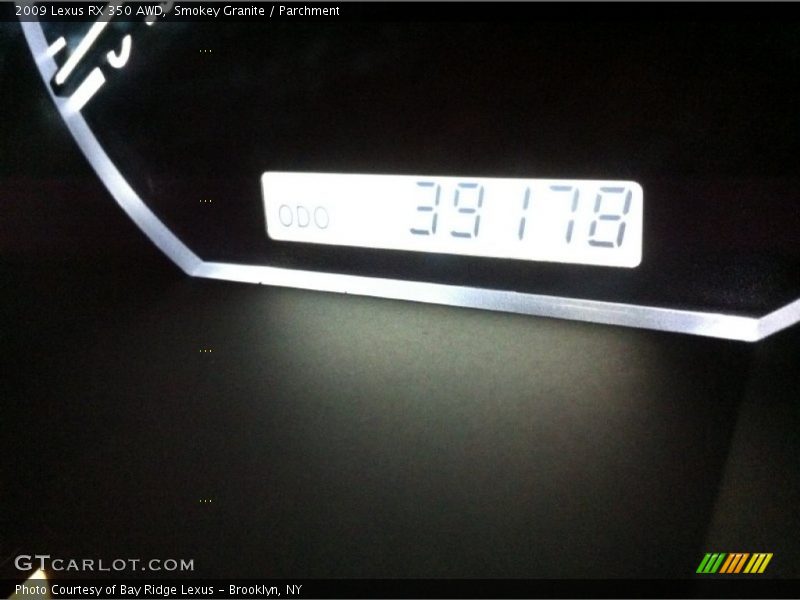 Smokey Granite / Parchment 2009 Lexus RX 350 AWD