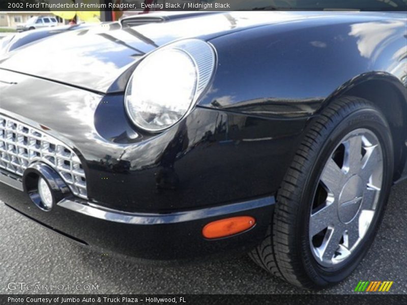 Evening Black / Midnight Black 2002 Ford Thunderbird Premium Roadster