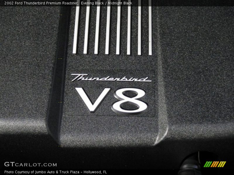 Evening Black / Midnight Black 2002 Ford Thunderbird Premium Roadster