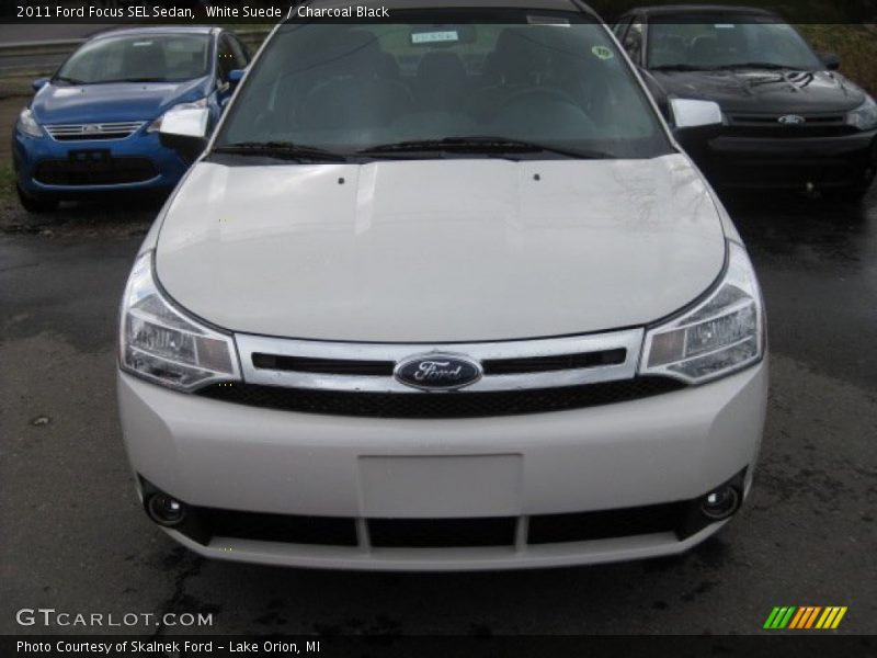 White Suede / Charcoal Black 2011 Ford Focus SEL Sedan