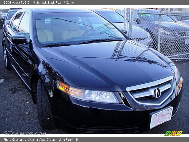 Nighthawk Black Pearl / Camel 2004 Acura TL 3.2