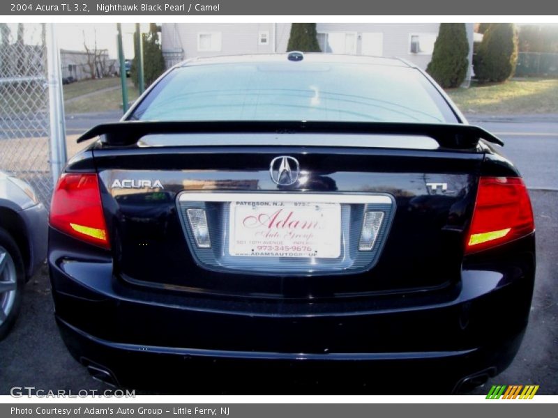 Nighthawk Black Pearl / Camel 2004 Acura TL 3.2