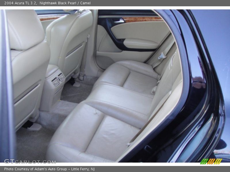 Nighthawk Black Pearl / Camel 2004 Acura TL 3.2