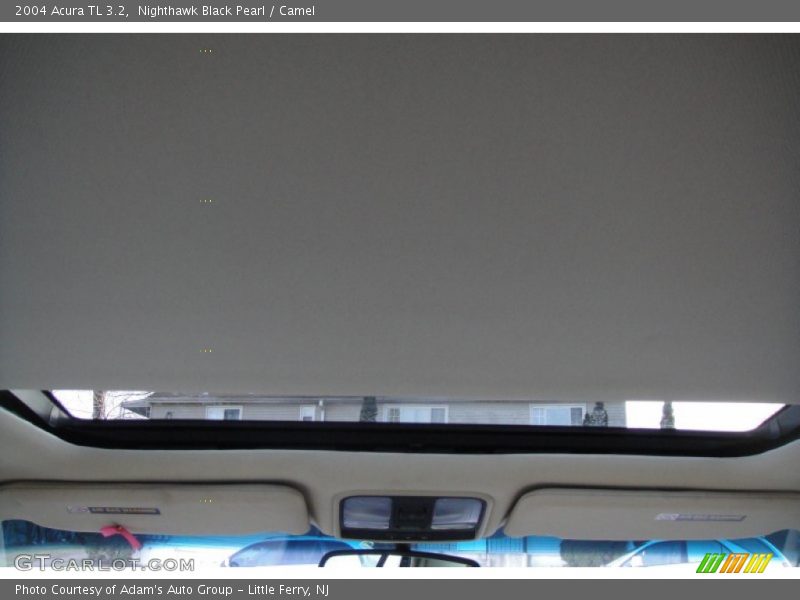 Nighthawk Black Pearl / Camel 2004 Acura TL 3.2