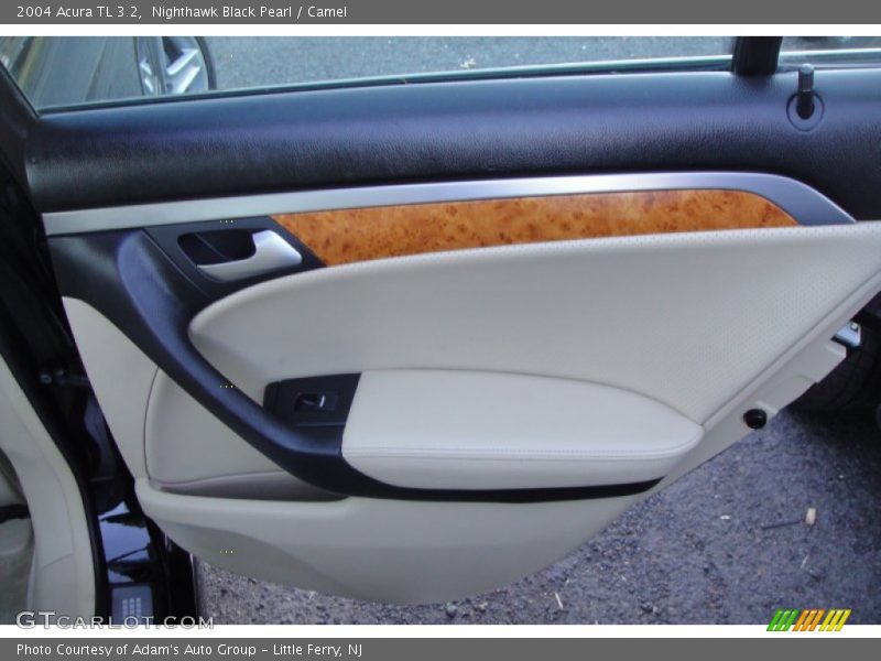 Nighthawk Black Pearl / Camel 2004 Acura TL 3.2