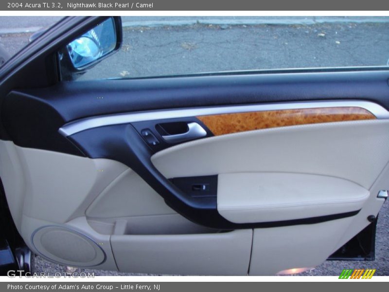 Nighthawk Black Pearl / Camel 2004 Acura TL 3.2