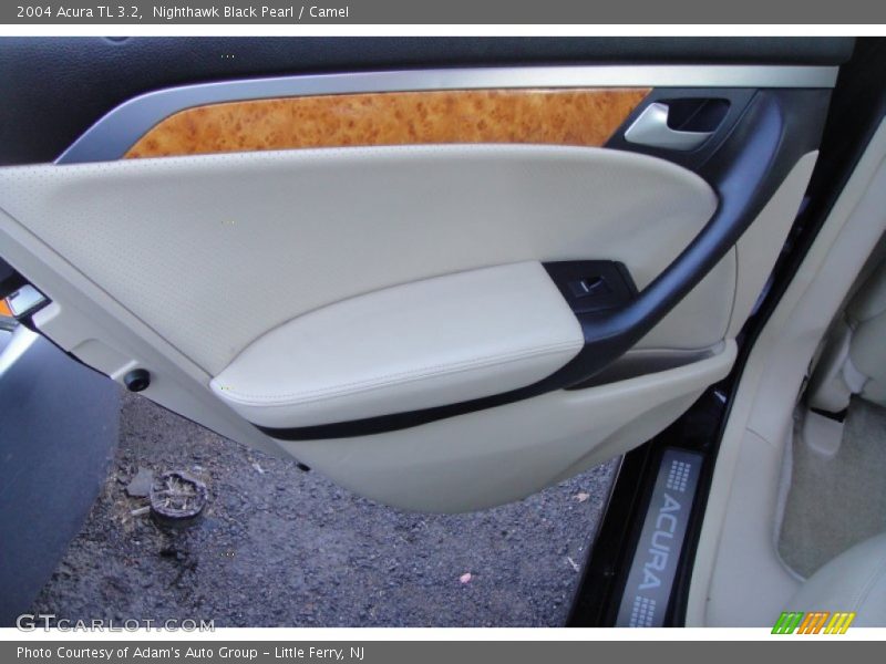 Nighthawk Black Pearl / Camel 2004 Acura TL 3.2