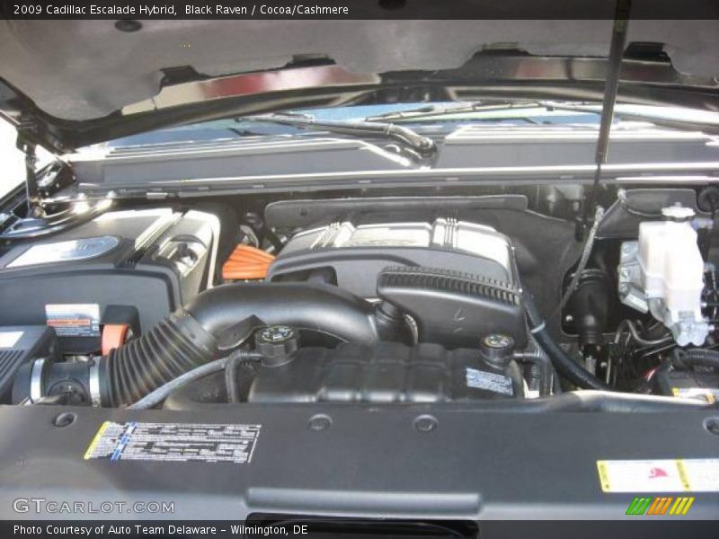 Black Raven / Cocoa/Cashmere 2009 Cadillac Escalade Hybrid